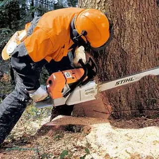 abattage-d’arbres-91